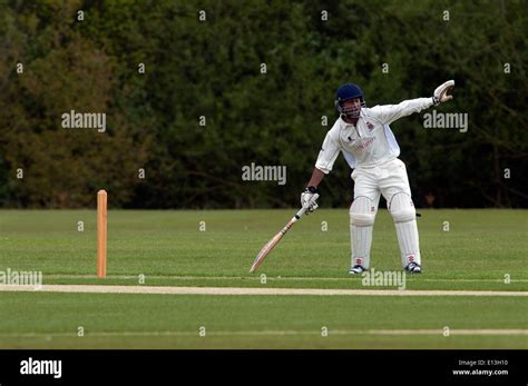 Sport Cricket Batsman Signaling Hi Res Stock Photography And Images Alamy