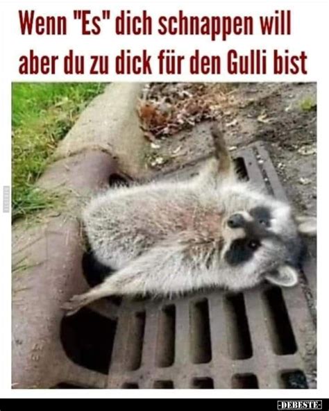 Wenn Es Dich Schnappen Will Aber Du Zu Dick F R Den Gulli Lustige