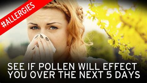 Hay Fever Warning As Britain Prepares For Epidemic Of Very High Pollen Levels Across Country