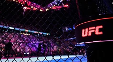 Ufc Fighter Forced To Come Out As Bisexual After Oral Sex Video Leaked ‘not The Way I Wanted To