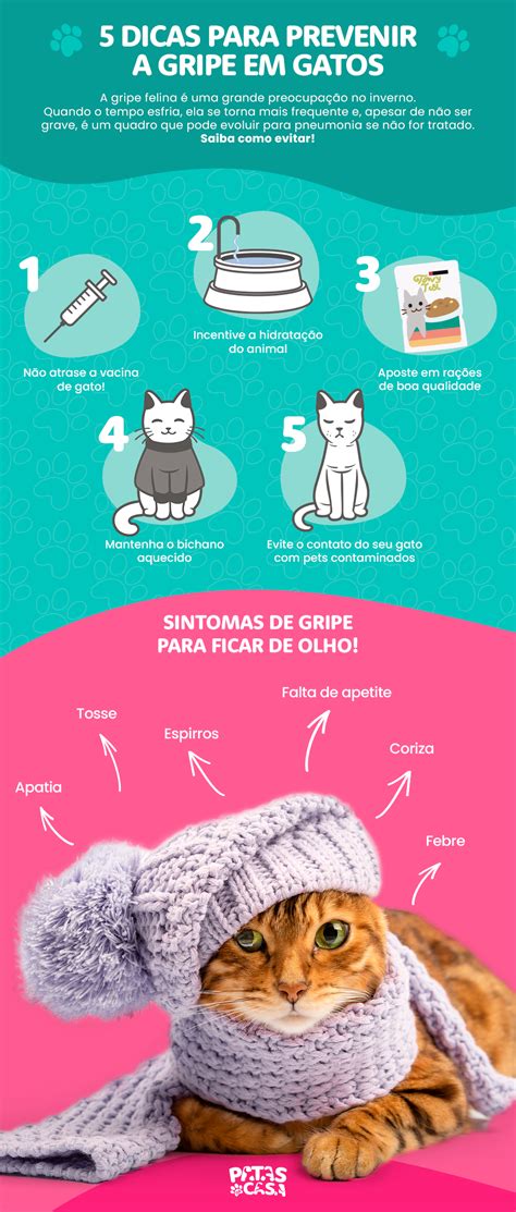 Gato Gripado Infogr Fico Dicas De Como Prevenir A Gripe