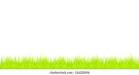 Grass Vector เวกเตอร์สต็อก ปลอดค่าลิขสิทธิ์ 116220196 Shutterstock