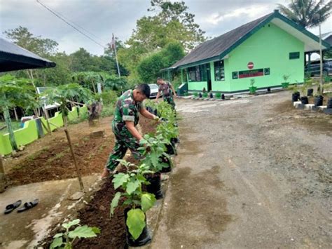 Koramil 21 Palakka Manfaatkan Lahan Kosong Dukung Program Hanpangan