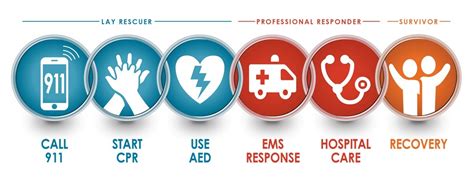 Cardiac Chain Of Survivalpng Indiana Philanthropy Alliance