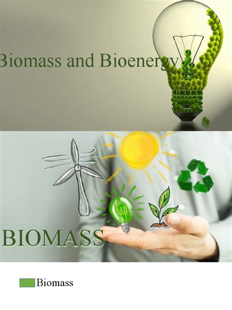 Biomass and Bioenergy | PDF | Solar Power | Geothermal Energy