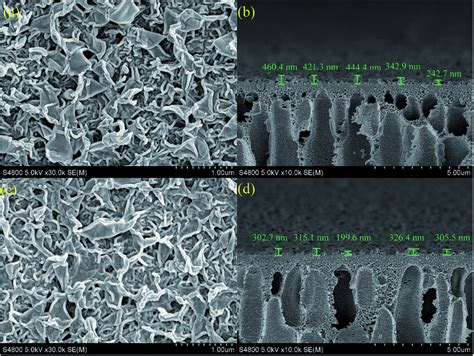 Sem Images For A The Surface Of Control Polyamide Membrane B The