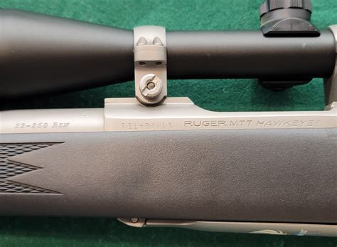 Ruger M77 Hawkeye 22 250 Stainless For Sale At 996253941