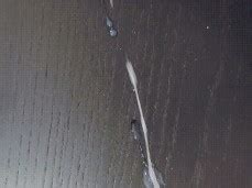 Cumshoot Gay Porn Pornhub