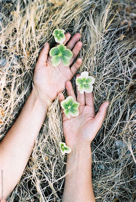 Female Hands With Flowers By Stocksy Contributor Sonya Khegay Stocksy