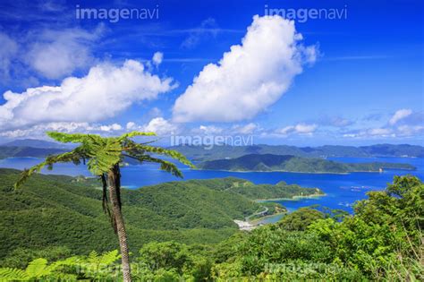 【油井岳より大島海峡と加計呂麻島】の画像素材70486748 写真素材ならイメージナビ