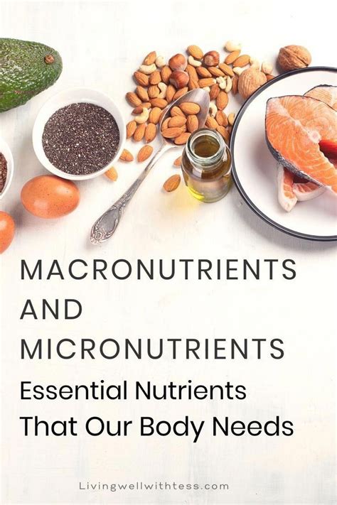 What Are Micronutrients A Review Of Essential Nutrients Artofit