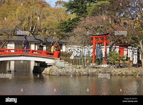 Japan Kanagawa Prefecture Kamakura Tsurugaoka Hachimangu Shrine