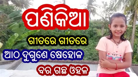 Odia Panikia Sikhya Table Counting Multiplication Table Panikia