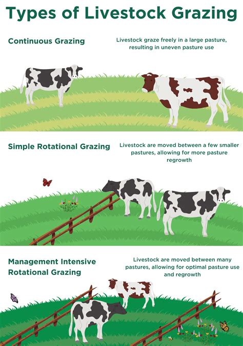 Ways To Control Gi Parasitism Through Pastures And Grazing Systems