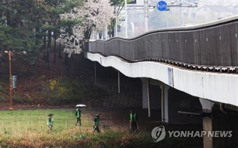 보행로 통제 중인 성남 수내교 네이트 뉴스