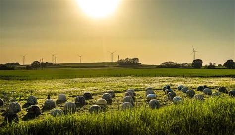 Dit Zijn De Mooiste Fietsroutes Van Limburg Visit Limburg Golf