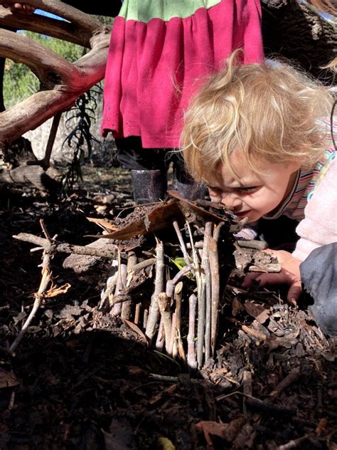 Family Nest Building Craft Project - Wilderness Youth Project