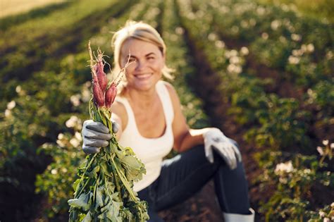 Après la pluie vient le beau temps pour les producteurs agricoles de la