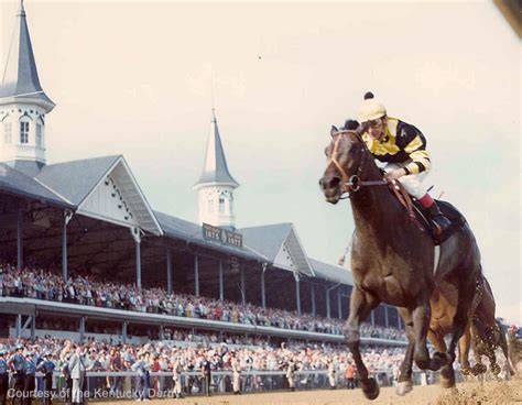 Seattle Slew | Horse Profile - TwinSpires Horse Racing | Bet Online ...