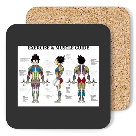 Anatomy Chart Muscle Diagram Anime Workout Inspirational Coasters