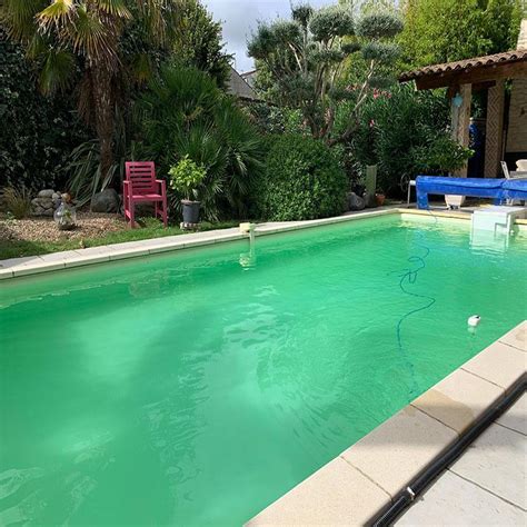 Comment Traiter L Eau Verte De Ma Piscine Poolandsplash