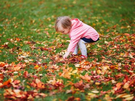 Fun Outdoor Activities for Toddlers (Best Easy Ideas!) - Tiny Hands ...