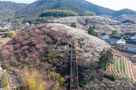 浙江湖州：踏青赏花 乐享春光 人民图片网