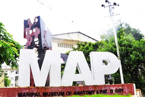 Offbeat Places Homestays Museum Of Anatomy Pathology Places To Visit