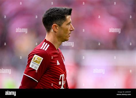 Robert Lewandowski Fc Bayern Muenchen Fcb Allianz Arena Muenchen