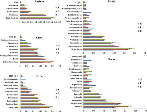 Distribution Of The Predominant Bacteria At Different Taxonomic Levels