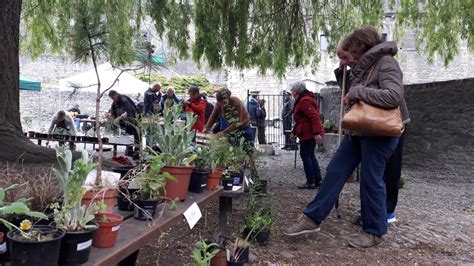 Bourse Aux Plantes Dimanche Mai Ecolo Floreffe