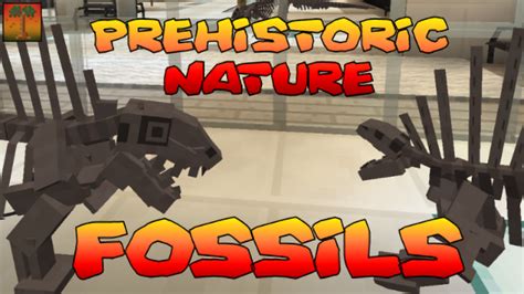 Prehistoric Nature Fossils