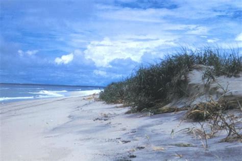 Photo Of Assateague Island National Seashore Assateague Island National Seashore Beach