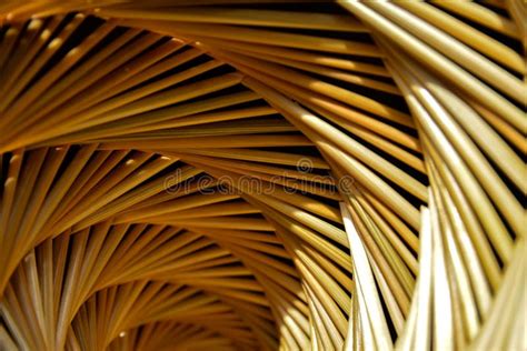 Spiral Woven Straw Texture Background Stock Photo Image Of Curve