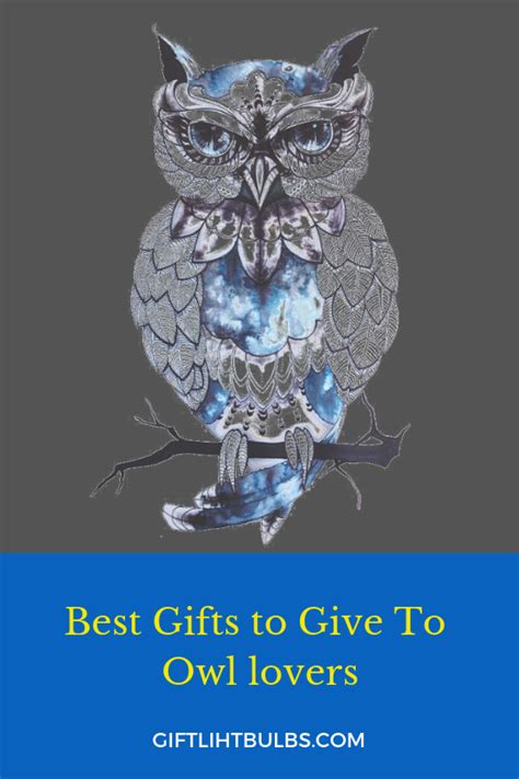 Best Ts To Give To Owl Lovers Owl Ts For Her Owl Ts Best Ts