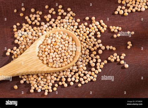 Yellow Grains Of Organic Mustard Sinapis Alba Stock Photo Alamy