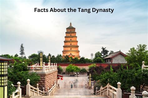 Facts About The Tang Dynasty Have Fun With History