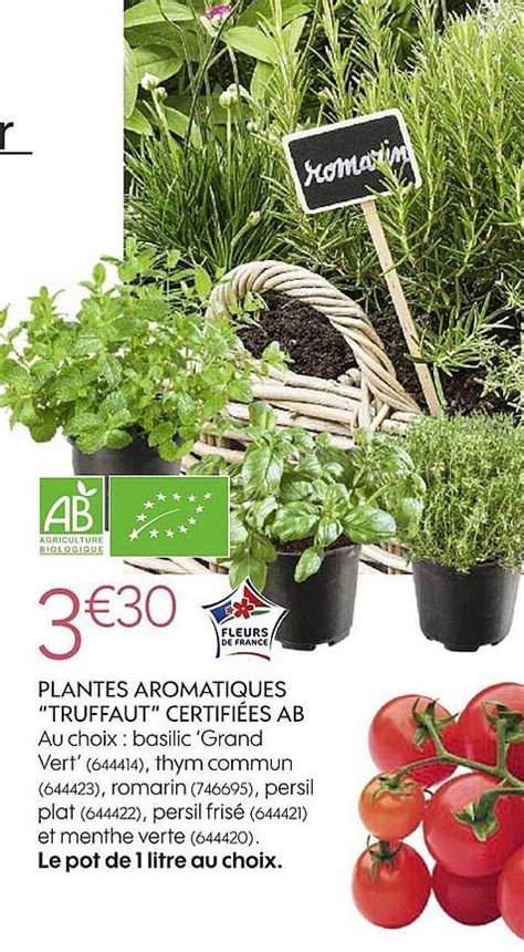 Promo Plantes Aromatiques truffaut Certifiées Ab chez Truffaut