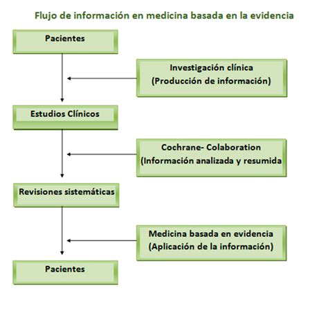 Utilización de evidencia científica para la elaboración de guías de