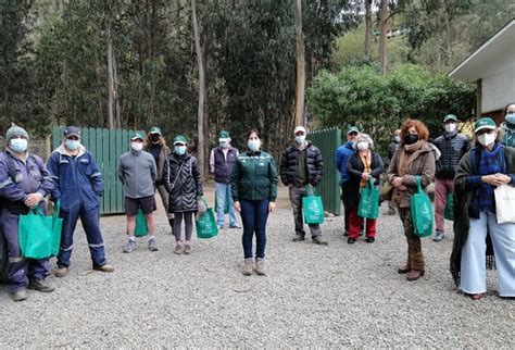 Valpara So Conaf Ense A T Cnicas De Silvicultura Preventiva En Sector