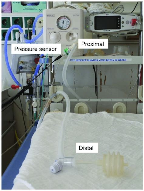 Picture of a T-piece resuscitator device attached to a Neopuff. T-piece ...