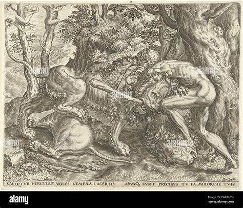 Hercules Strangles The Nemean Lion Cornelis Cort After Frans Floris I In Or After 1563