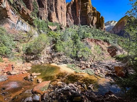 Lower Emerald Pool Trail Hike: Zion National Park