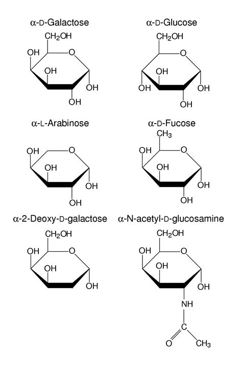 Sugar Recognition By Human Galactokinase BMC Biochemistry Full Text