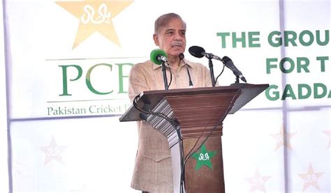 Pm Shehbaz Urges Pcb Chief To Ensure Merit Based Selection The