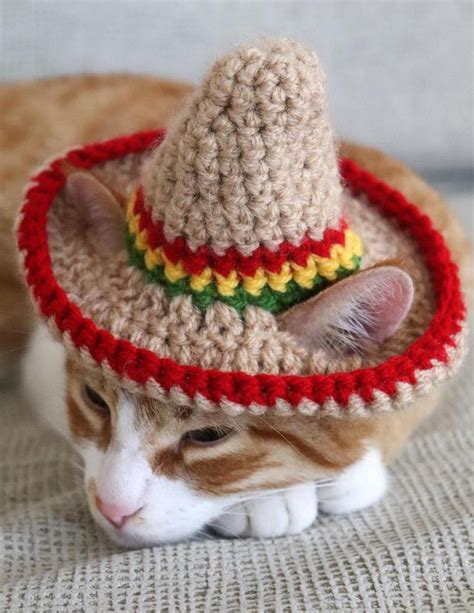 Cat Sombrero Sombrero For Cats Sombrero Hat With Ear Holes For Cats