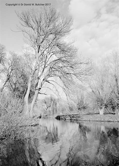 Grantchester Meadows near Cambridge - Dave Butcher