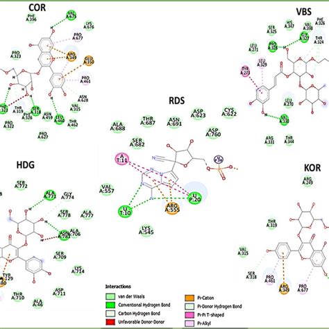 D Interaction Plots Of Sars Cov S Active Site Amino Acid Residues Of