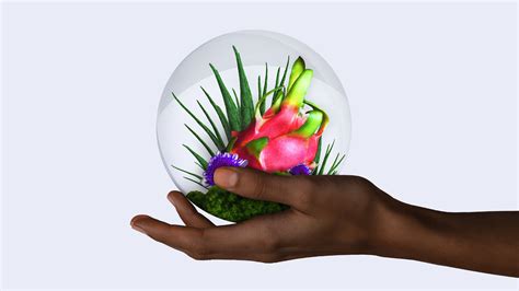 Dr bryan ardis shares new insights on health and wellness 14