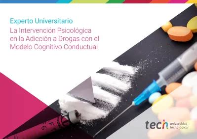 Experto Universitario La Intervenci N Psicol Gica En La Adicci N A